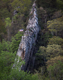 local landscapes ridge with American flag